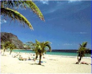plagec~1.jpg